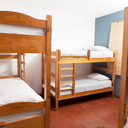 Quetzalroo Hostel Guatemala City Екстериор снимка